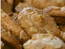 COOKIE